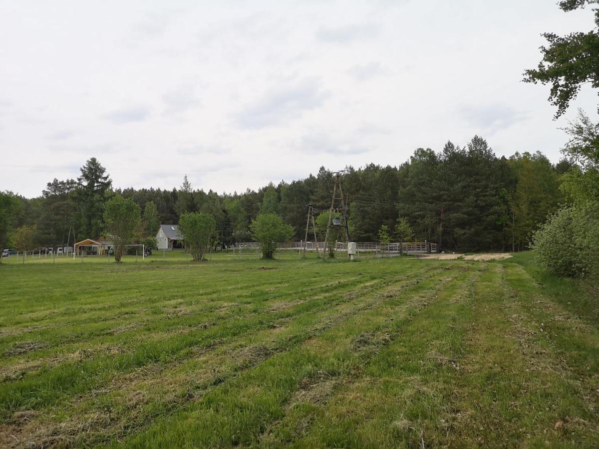 Agroturystyka Plener Miedzichowo Eksteriør billede